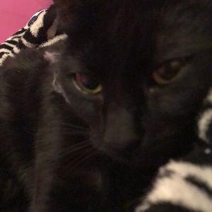 Meet your Posher, Chloe